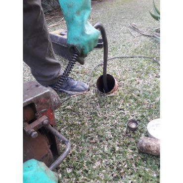 Destapacion de tapa cloacal